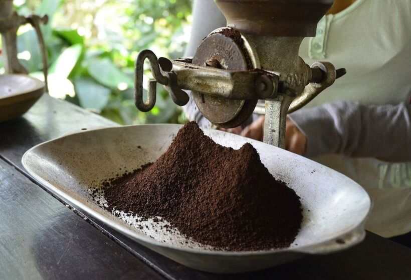 Four Seasons Hotel Casa Medina Bogota