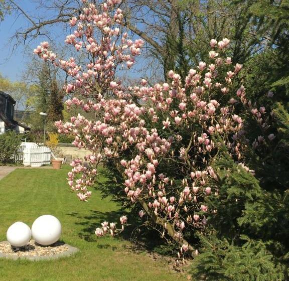 هتل Havel Lodge Berlin