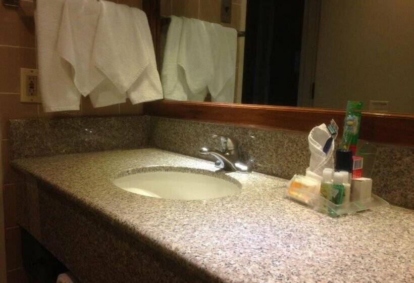 Delta Hotels By Marriott San Jose Aurola