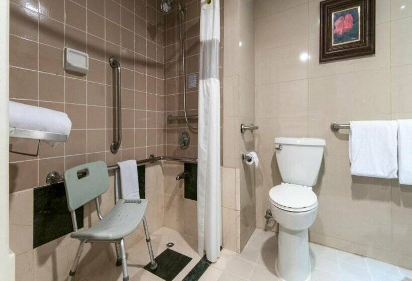 Delta Hotels By Marriott San Jose Aurola