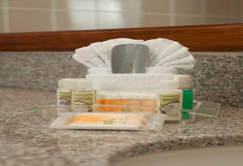 Delta Hotels By Marriott San Jose Aurola