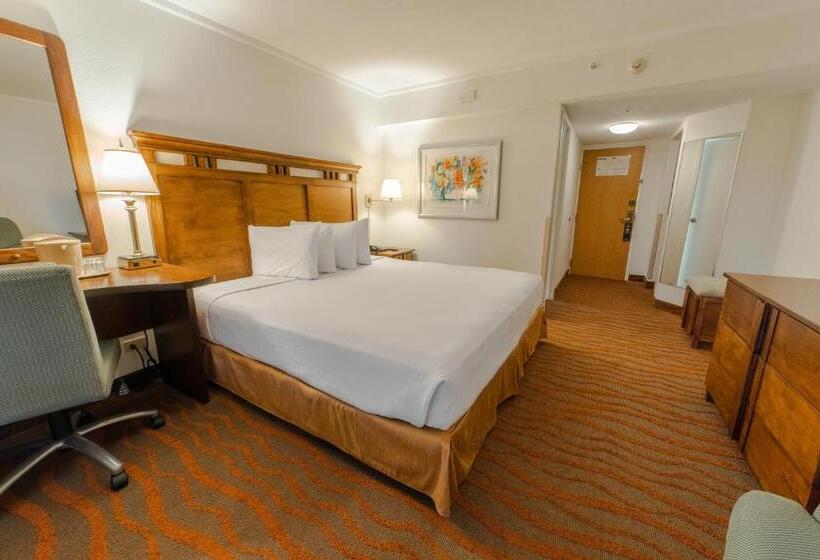 Irazú Hotel & Studios