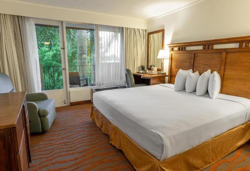 Irazú Hotel & Studios