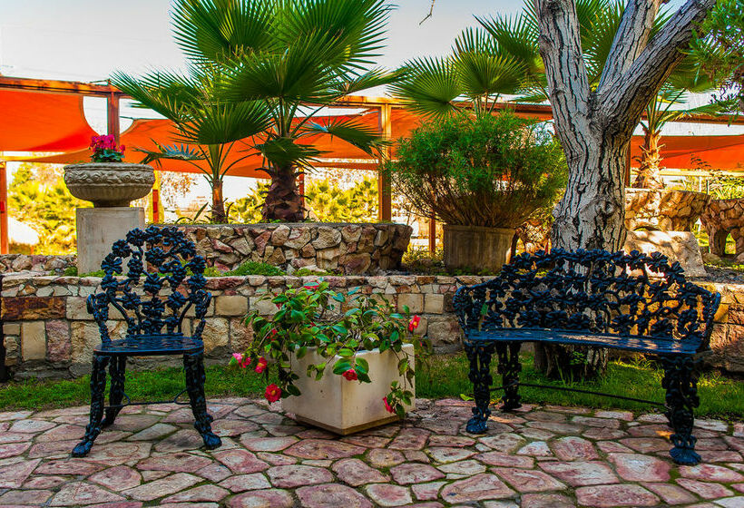 هتل Manquehue Las Condes