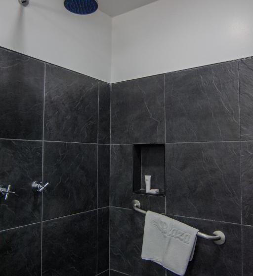 Отель Neiva Plaza