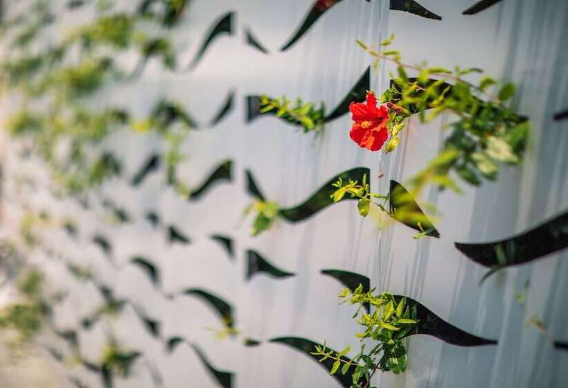 Отель Nissi Park