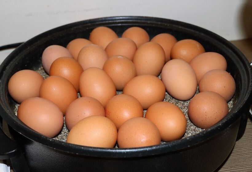 호텔 Graf Moltke Hamburg