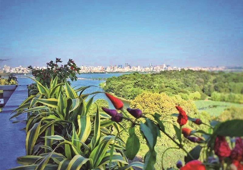 فندق Shangri La Hangzhou   The Back Garden Of West Lake