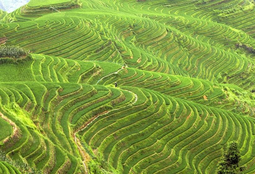 호텔 Sheraton Guilin