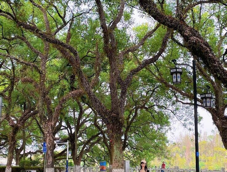 호텔 Sheraton Guilin