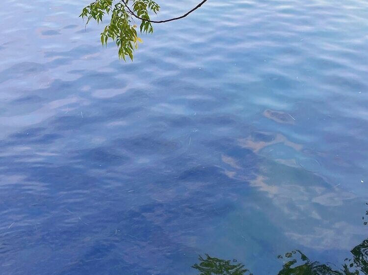 호텔 Sheraton Guilin