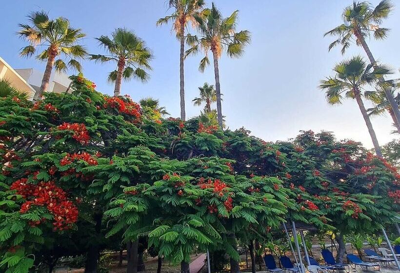 בית מלון כפרי Veronica