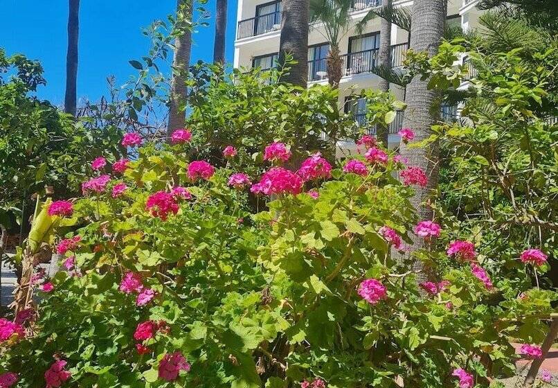 בית מלון כפרי Veronica