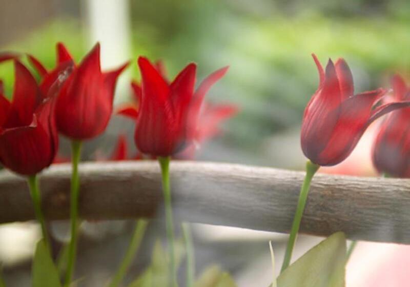 酒店 Zum Zeppelin Hamburg