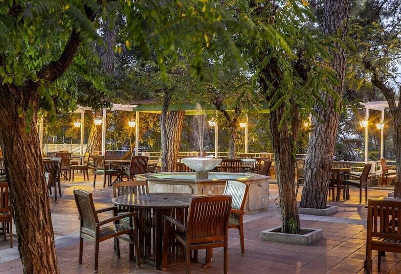 리조트 Forest Park