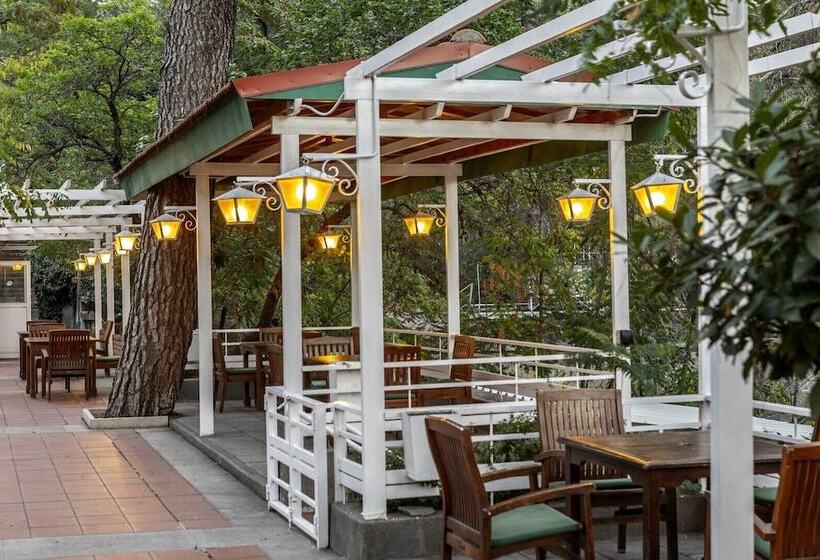 리조트 Forest Park