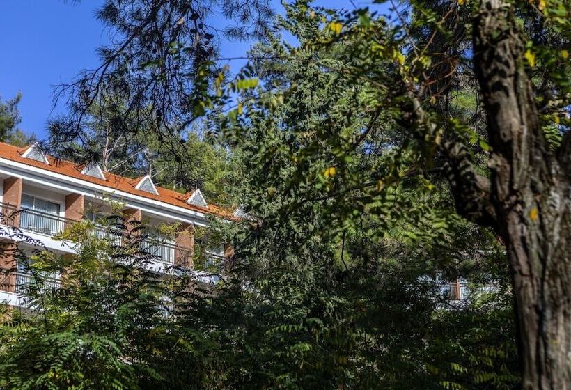 리조트 Forest Park