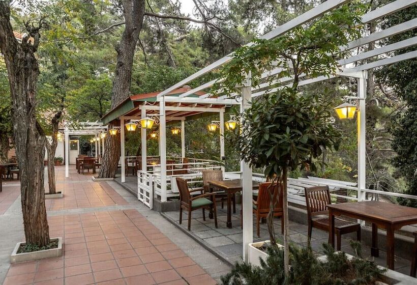 리조트 Forest Park