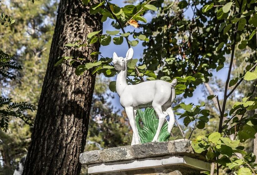 استراحتگاه Forest Park