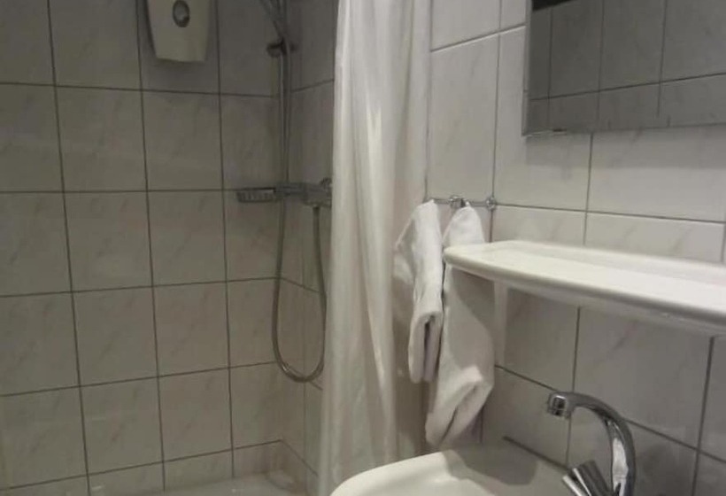 Altstadt Hotel Rheinblick