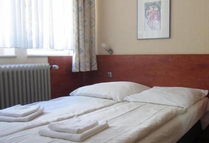 Altstadt Hotel Rheinblick