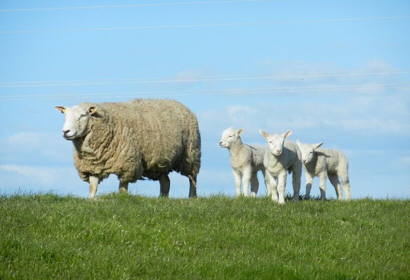 Nordsee Hotel Arlau Schleuse