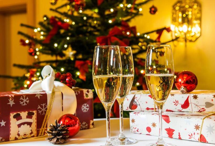 Birke, Ringhotel Kiel