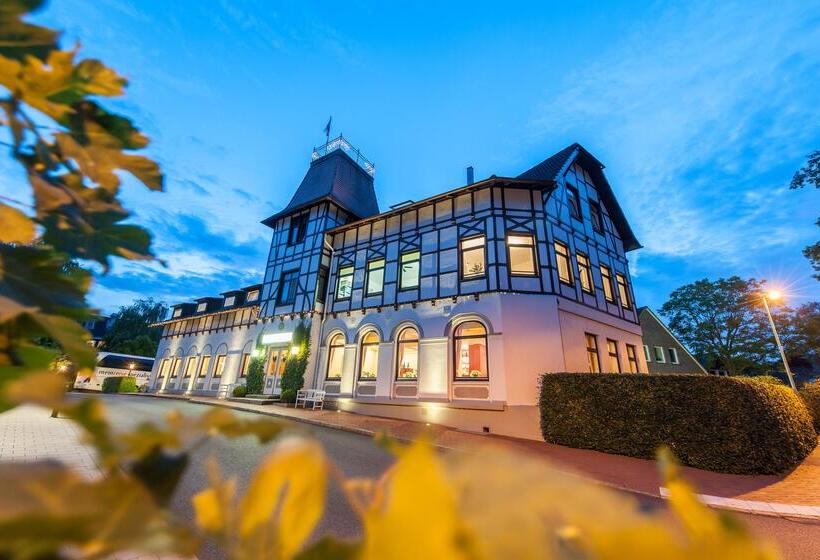 Birke, Ringhotel Kiel