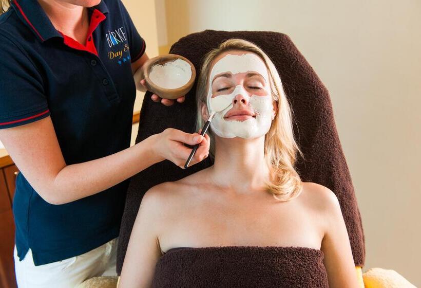 Birke, Ringhotel Kiel