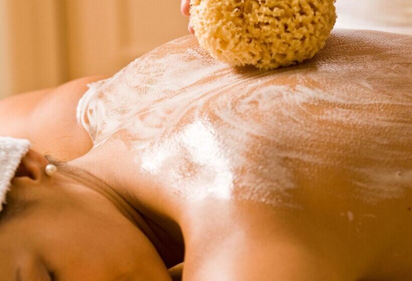 Birke, Ringhotel Kiel