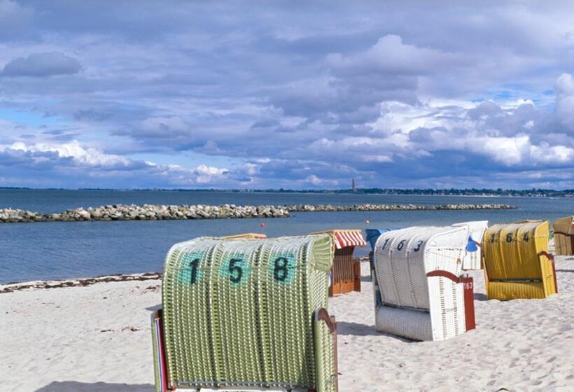 Birke, Ringhotel Kiel