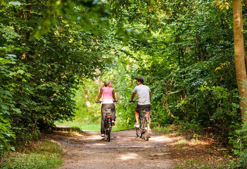 Birke, Ringhotel Kiel