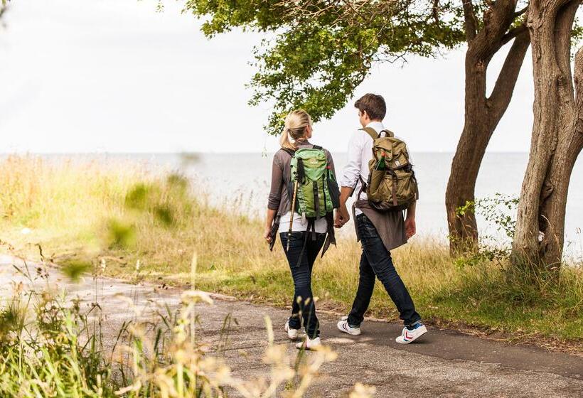 Birke, Ringhotel Kiel