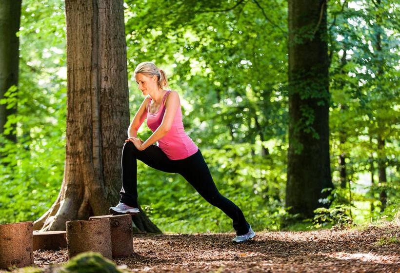 Birke, Ringhotel Kiel