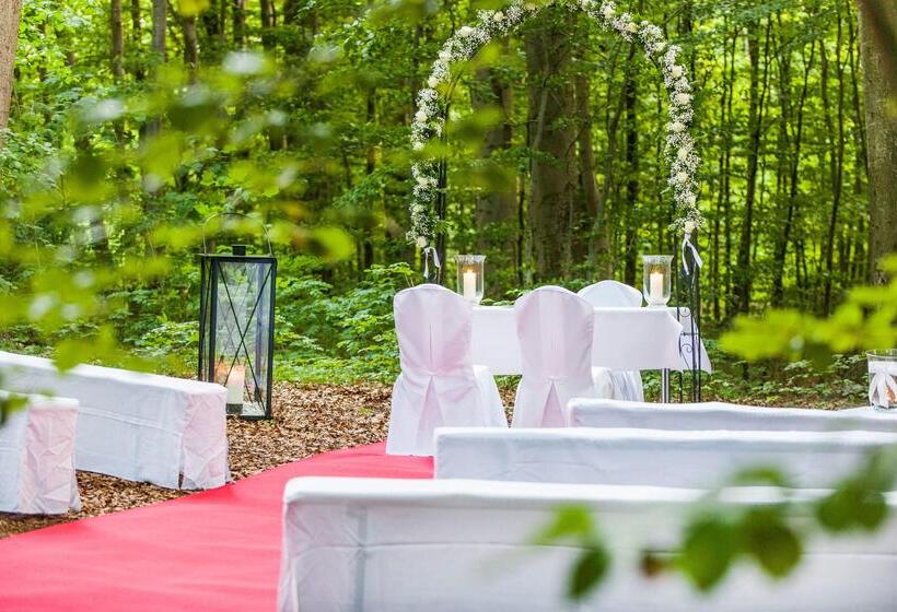 Birke, Ringhotel Kiel