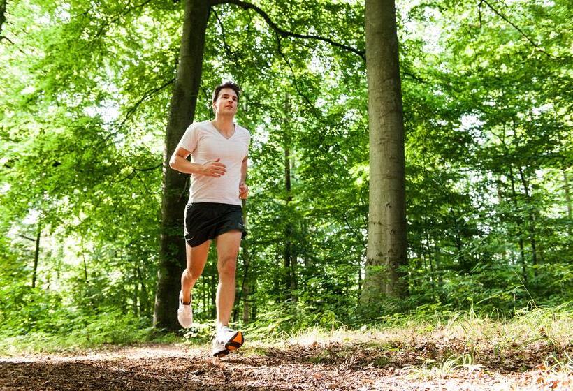 Birke, Ringhotel Kiel