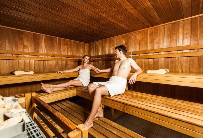 Birke, Ringhotel Kiel