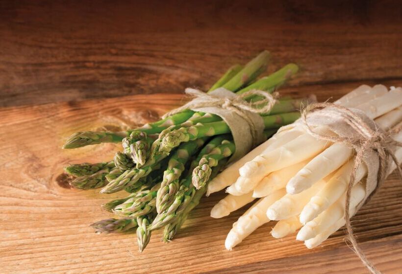 Birke, Ringhotel Kiel