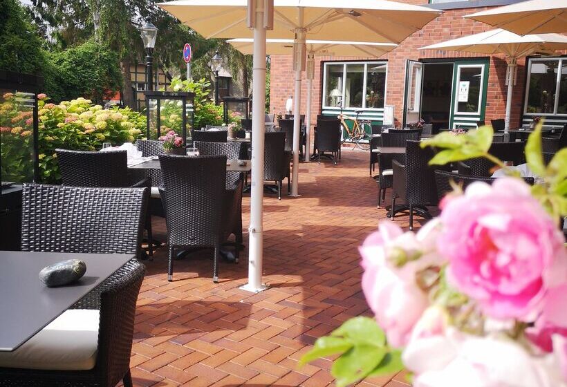 Birke, Ringhotel Kiel