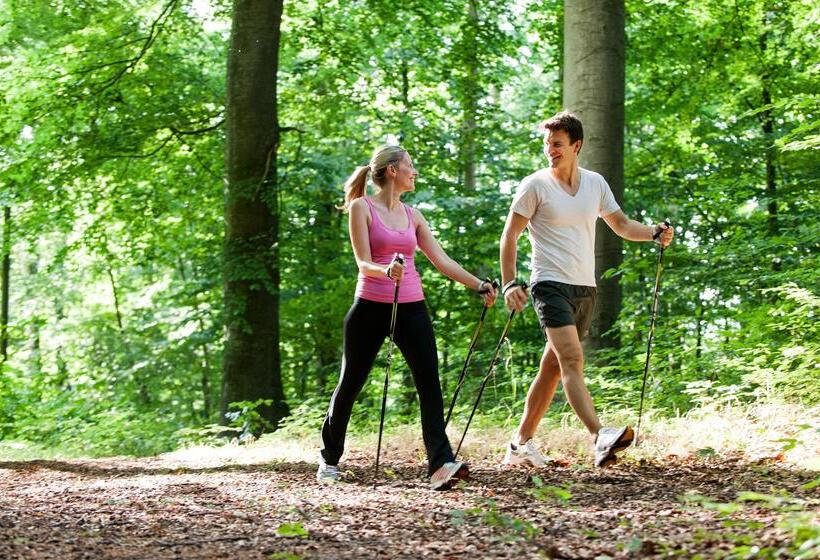 Birke, Ringhotel Kiel