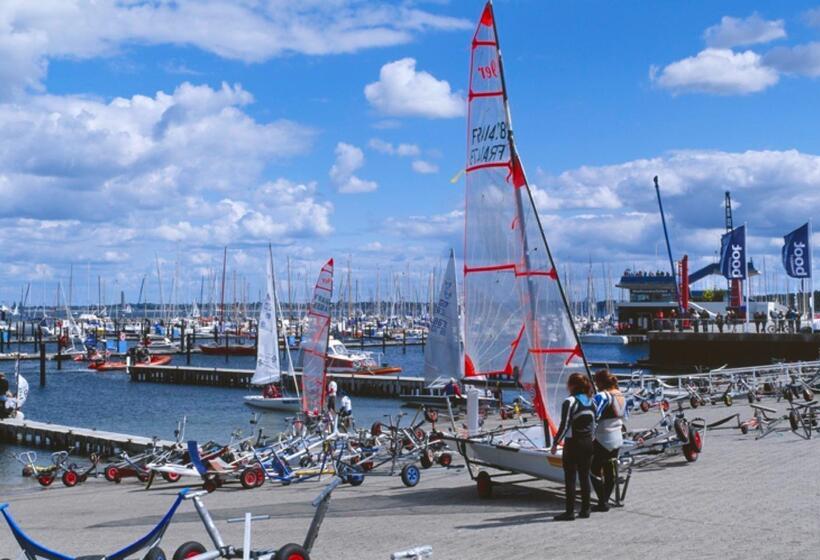 Birke, Ringhotel Kiel