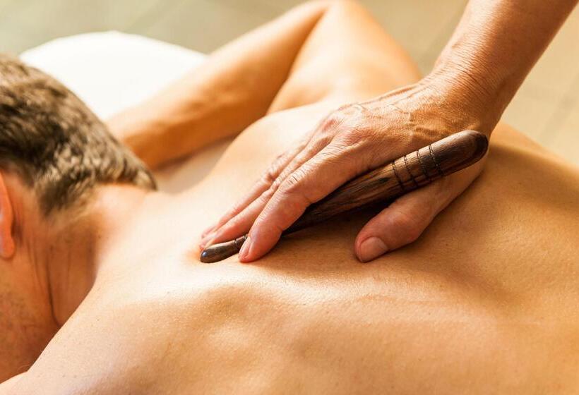 Birke, Ringhotel Kiel