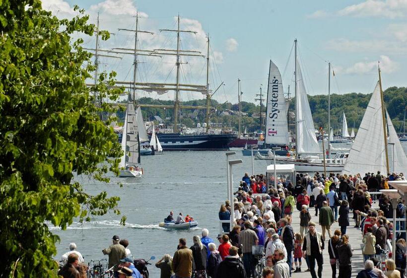 Birke, Ringhotel Kiel