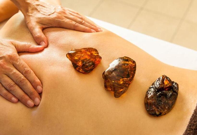 Birke, Ringhotel Kiel