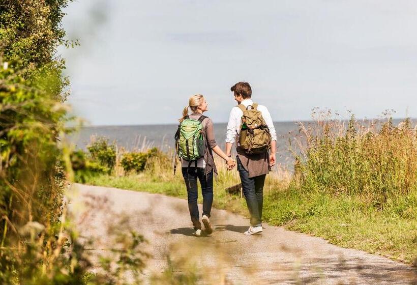 Birke, Ringhotel Kiel