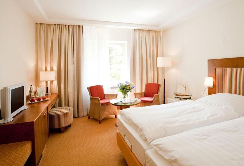 Birke, Ringhotel Kiel