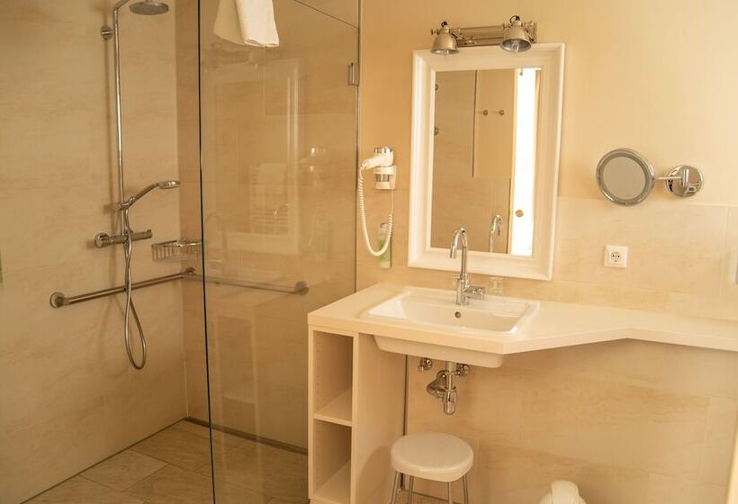 Birke, Ringhotel Kiel