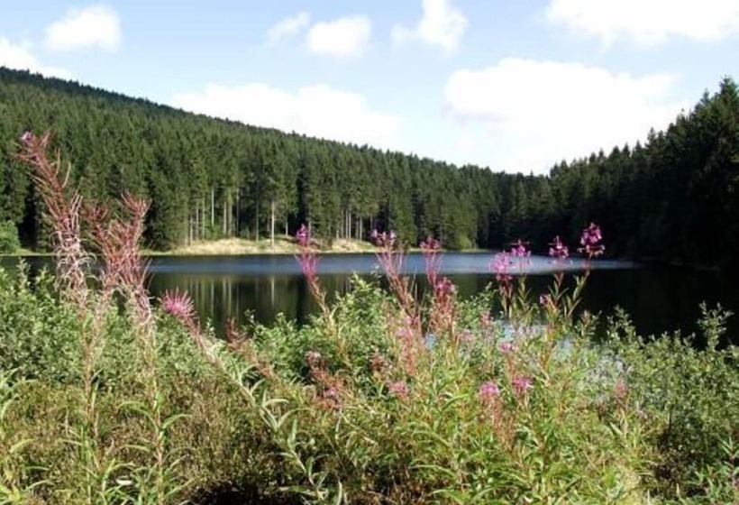 Carea Residenz Hotel Harzhöhe