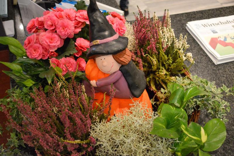 Carea Residenz Hotel Harzhöhe