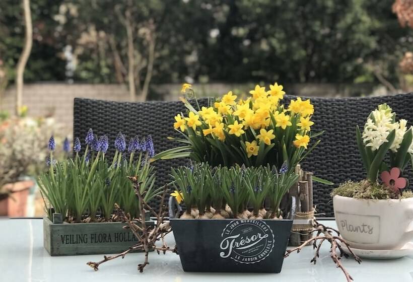 هتل Cascade Superior